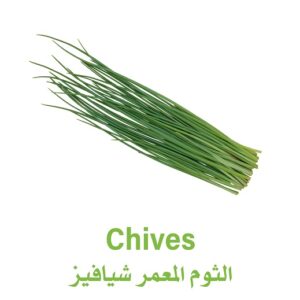 الثوم المعمر التشايفز - باكت