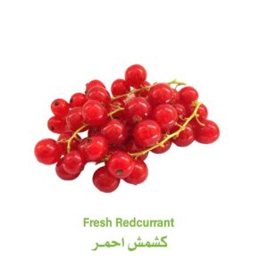 كشمش احمر هولندي - باكت