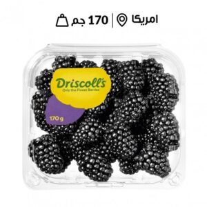 توت اسود امريكي - باكت