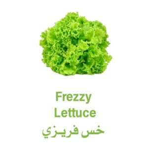 خس فريزي اخضر هولندي - 500 غم