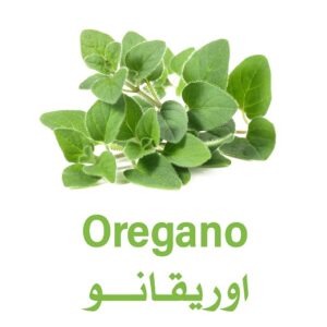 اوريجانو - باكت