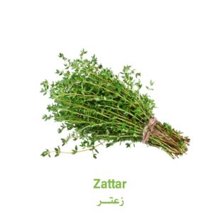 زعتر كينــــــــي - باكت