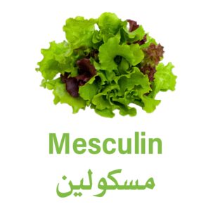 مسكلون محلي