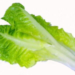 خس صغير